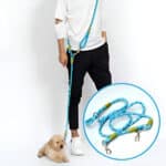 CROSSLEASH12548